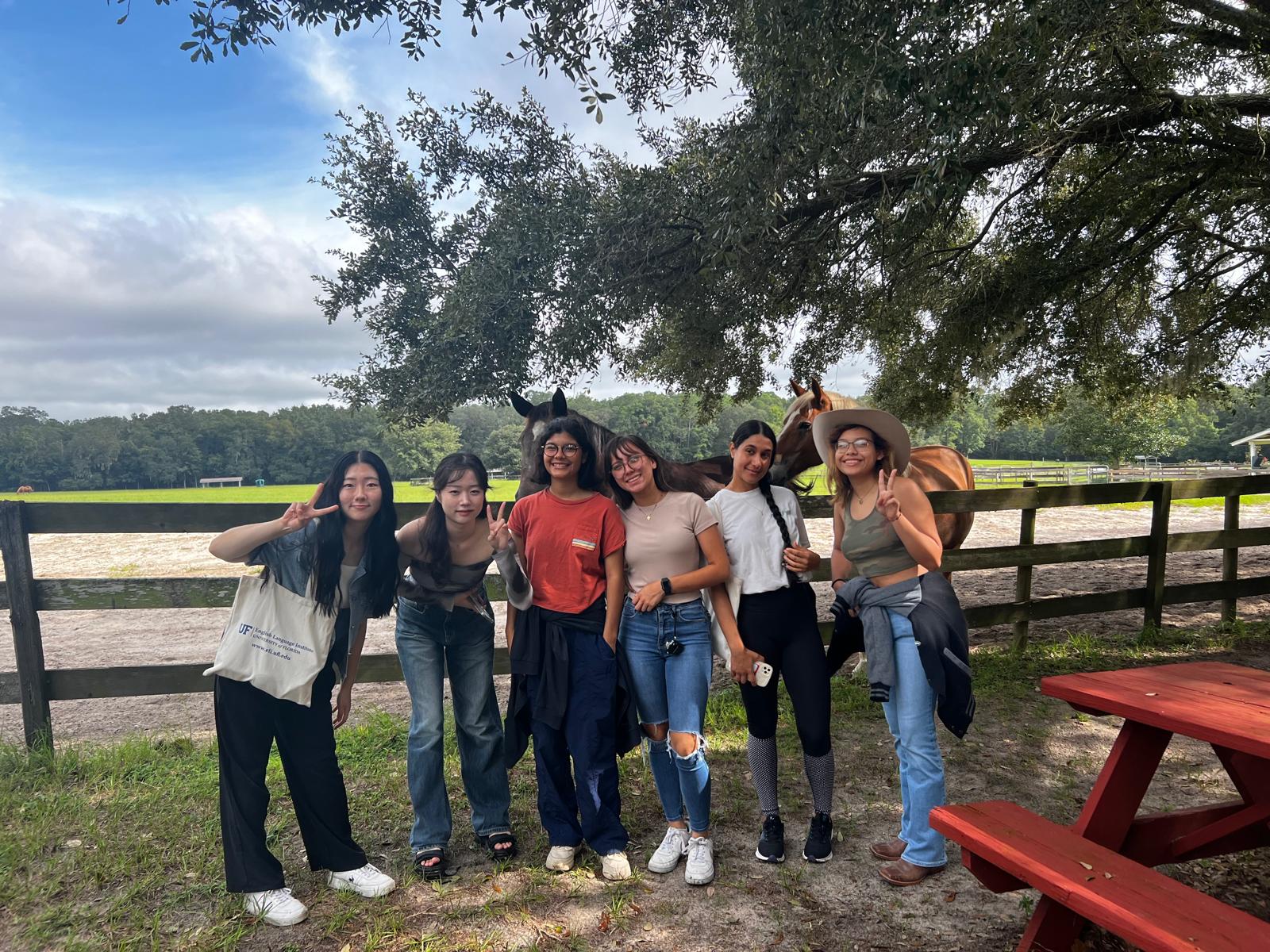 Students at the horse farm on a bright sunny day.