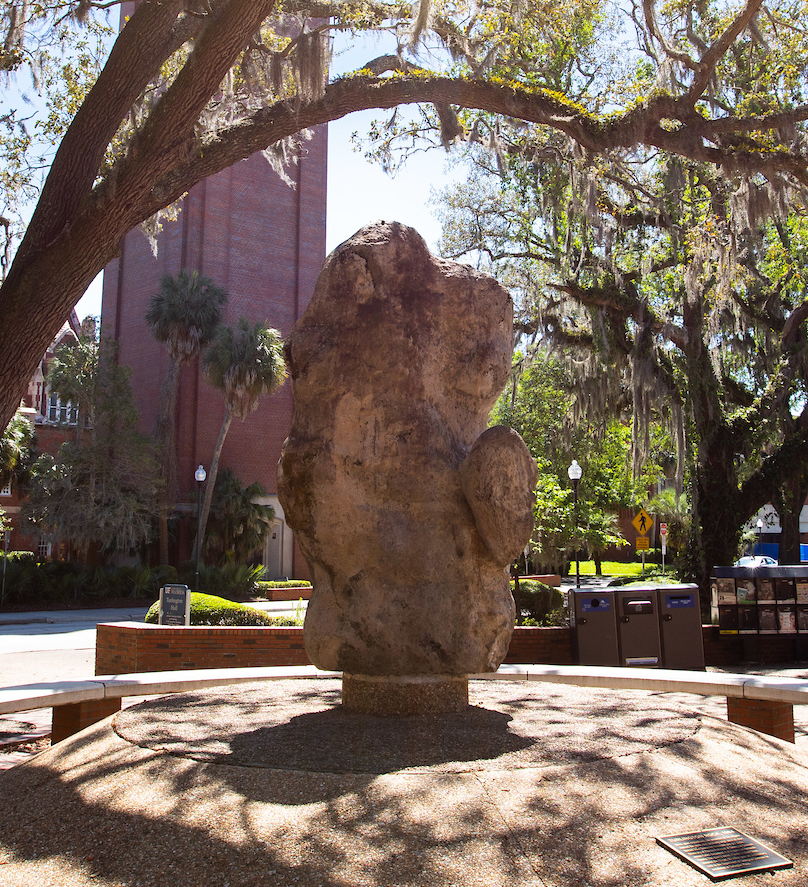 Photo of a large rock on UF campus that looks like a huge potato