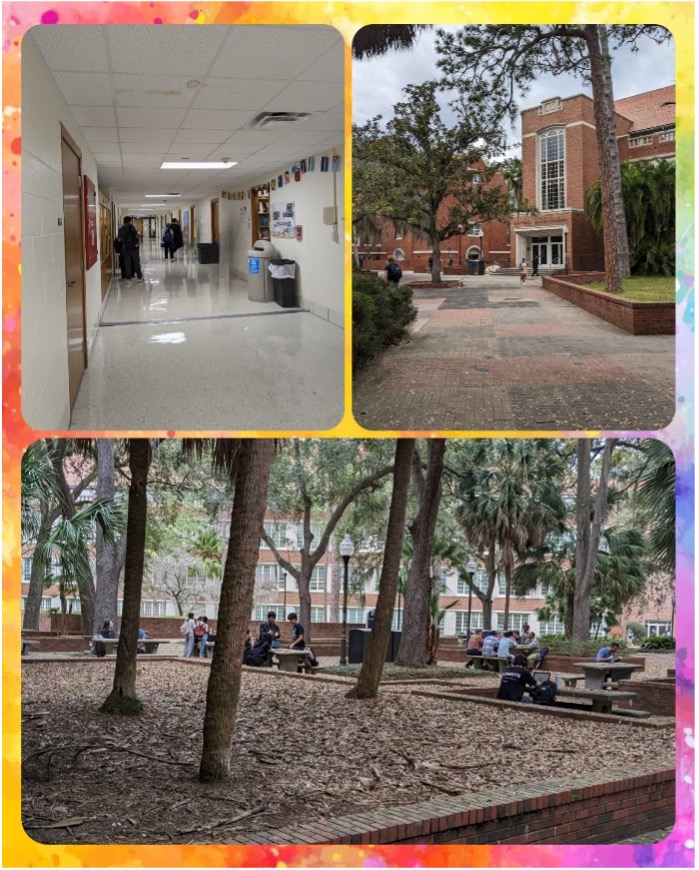 Matherly Hall--waiting in the hallway, looking at the brick building, and sitting under the trees in the courtyard